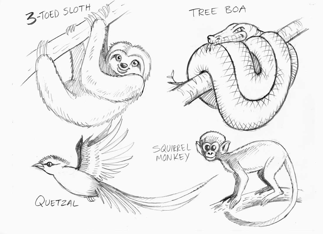 how-to-draw-animals-realistic-easy-each-tutorial-is-designed-to-help